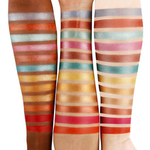 Load image into Gallery viewer, DE'LANCI Little Prince & Rose 25 Color Eye Shadow-DE'LANCI